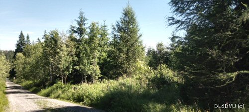 Brückenberg aktuell - bewaldet Brückenberg aktuell - bewaldet