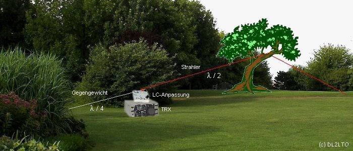 über einen Baum als Umlenkpunkt und dann zum Abspannpunkt ...