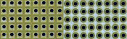 HF taugliche Lochrasterplatine